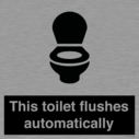 this-toilet-flushes-automatically~